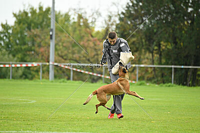 Nessi vom Zabelstein