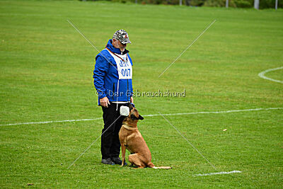 Nessi vom Zabelstein
