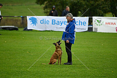 Nessi vom Zabelstein