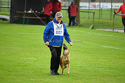 Nessi vom Zabelstein