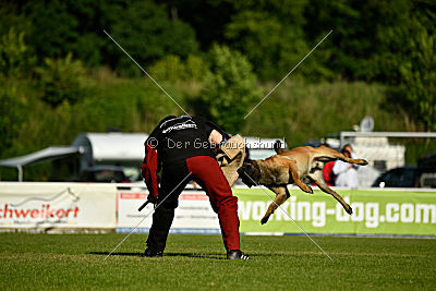 Nexor vom Brunsbeker Land