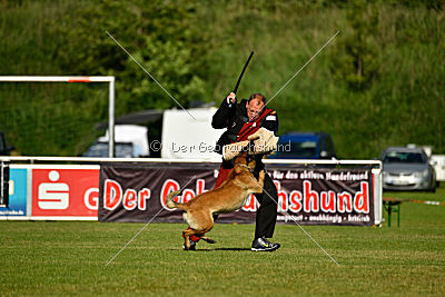 Nexor vom Brunsbeker Land
