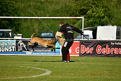 Nexor vom Brunsbeker Land