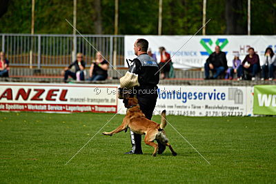 Nexor vom Brunsbeker Land