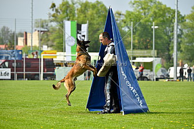 Nexor vom Brunsbeker Land