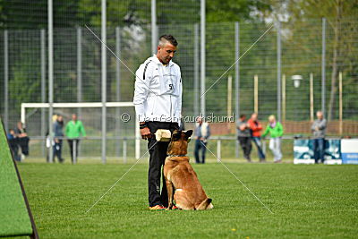 Nexor vom Brunsbeker Land