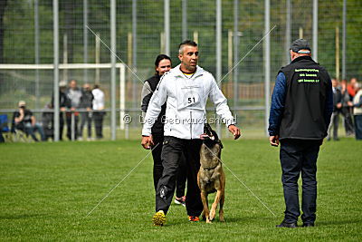 Nexor vom Brunsbeker Land