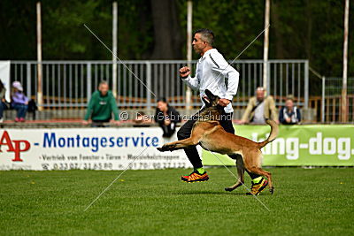 Nexor vom Brunsbeker Land