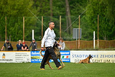 Nexor vom Brunsbeker Land