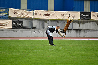 Nexor vom Brunsbeker Land