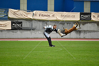 Nexor vom Brunsbeker Land