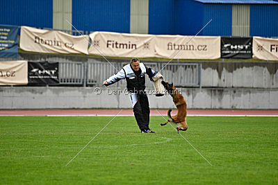 Nexor vom Brunsbeker Land