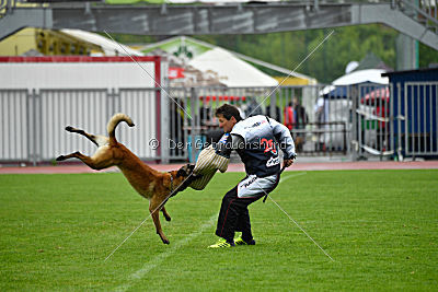 Nexor vom Brunsbeker Land