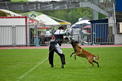 Nexor vom Brunsbeker Land