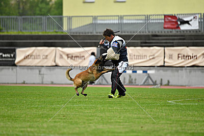 Nexor vom Brunsbeker Land