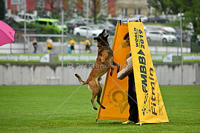 Nexor vom Brunsbeker Land