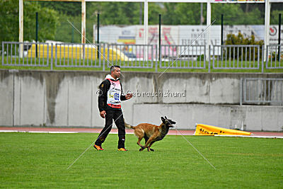 Nexor vom Brunsbeker Land