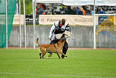 Nexor vom Brunsbeker Land