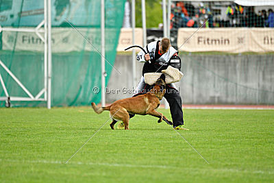 Nexor vom Brunsbeker Land