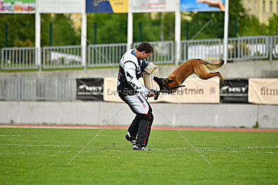 Nexor vom Brunsbeker Land