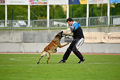 Nexor vom Brunsbeker Land