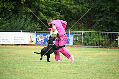 Niara vom Hatzbachtal