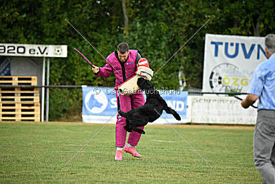 Niara vom Hatzbachtal