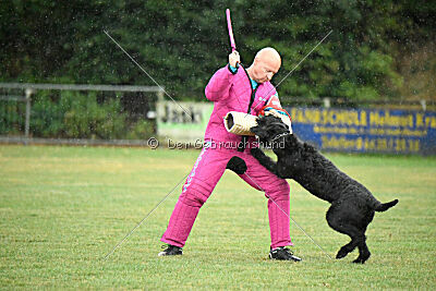Niara vom Hatzbachtal