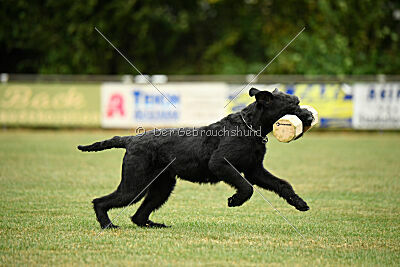 Niara vom Hatzbachtal