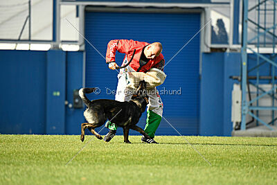Nico z Lomeckého polesí
