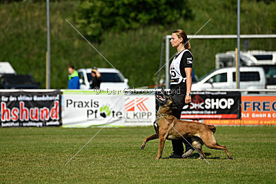 Nike vom Drachenherz