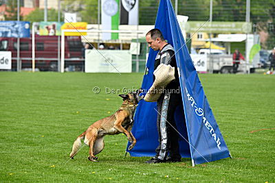 Nike vom Drachenherz