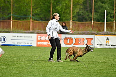 Nike vom Drachenherz