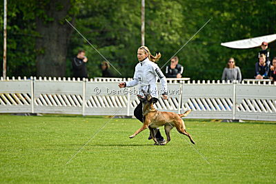 Nike vom Drachenherz