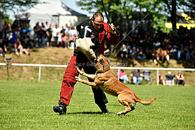 Nikelson van het Dreiland