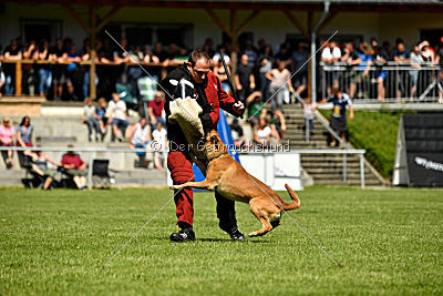 Nikelson van het Dreiland