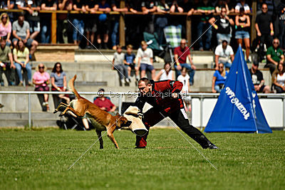 Nikelson van het Dreiland