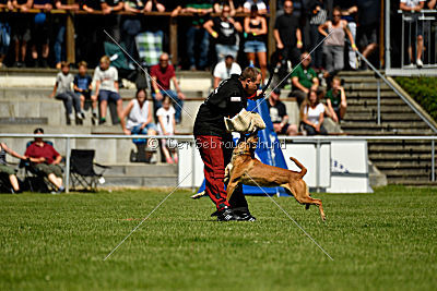 Nikelson van het Dreiland