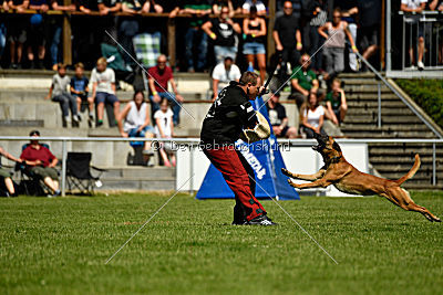 Nikelson van het Dreiland