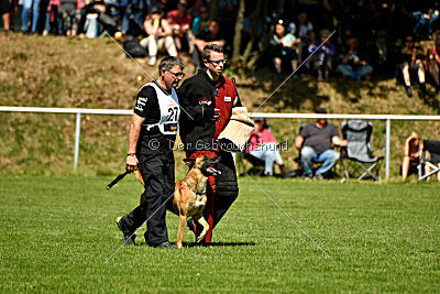 Nikelson van het Dreiland