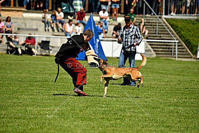 Nikelson van het Dreiland