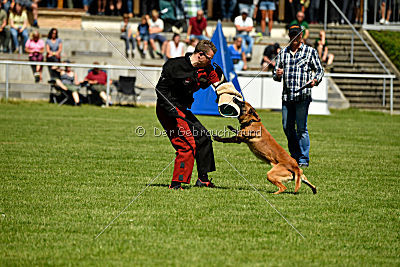 Nikelson van het Dreiland