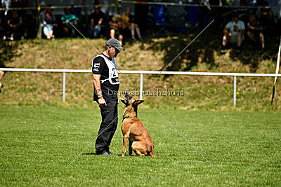 Nikelson van het Dreiland