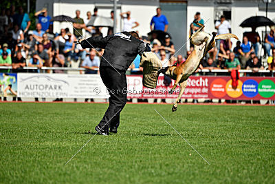 Nikelson van het Dreiland