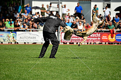 Nikelson van het Dreiland