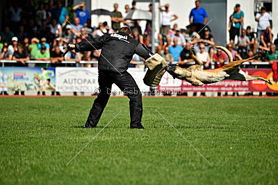 Nikelson van het Dreiland