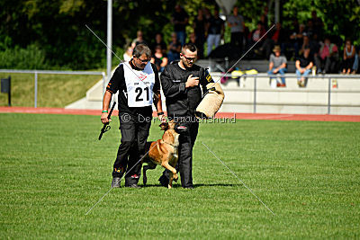 Nikelson van het Dreiland