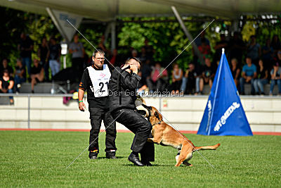 Nikelson van het Dreiland