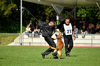 Nikelson van het Dreiland