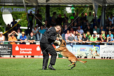 Nikelson van het Dreiland